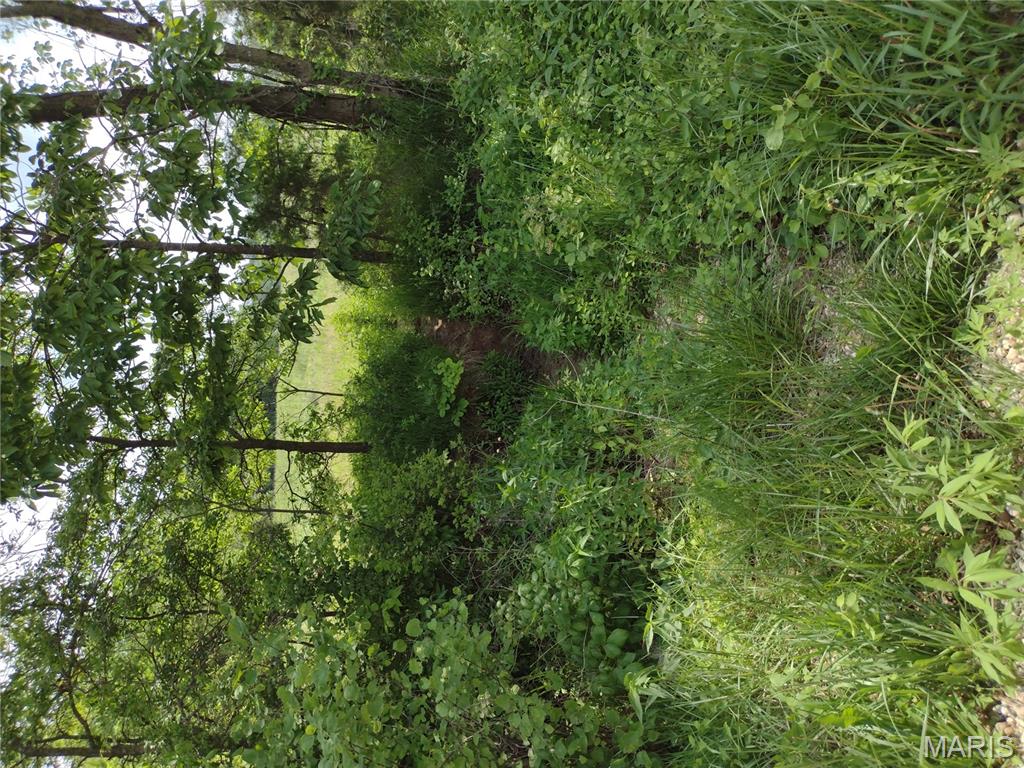 0 Central Grove Road Middletown, MO 63359 - Photo 20 of 31