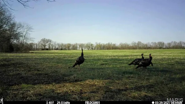 $971,975 | 0 Central Grove Road, Middletown, MO 63359