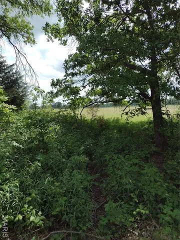 $971,975 | 0 Central Grove Road, Middletown, MO 63359