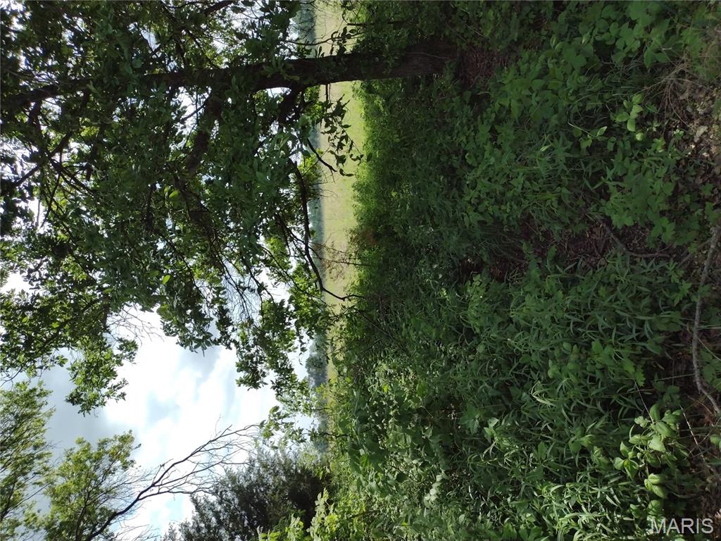 0 Central Grove Road Middletown, MO 63359 - Photo 21 of 31