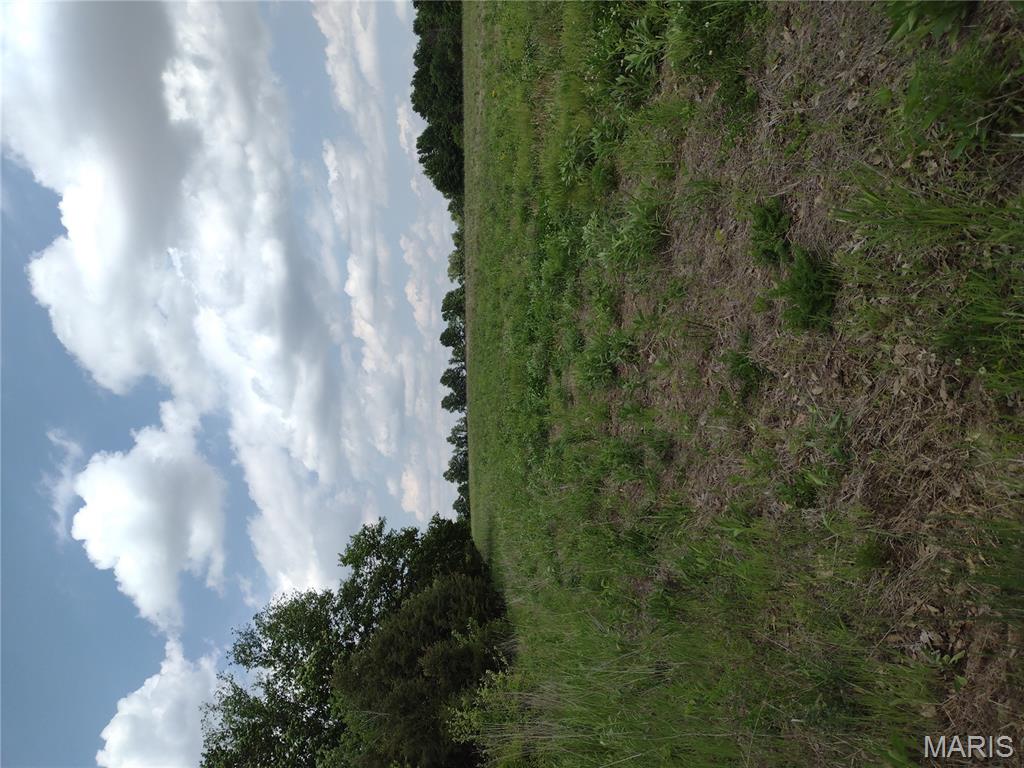 0 Central Grove Road Middletown, MO 63359 - Photo 22 of 31