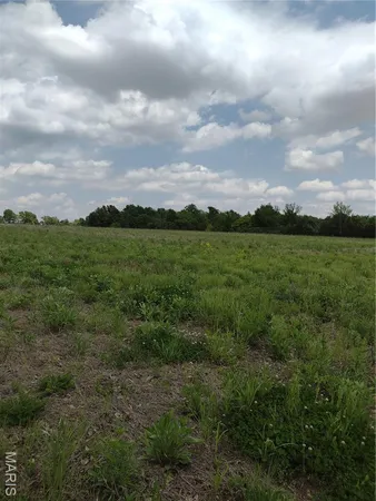 $971,975 | 0 Central Grove Road, Middletown, MO 63359