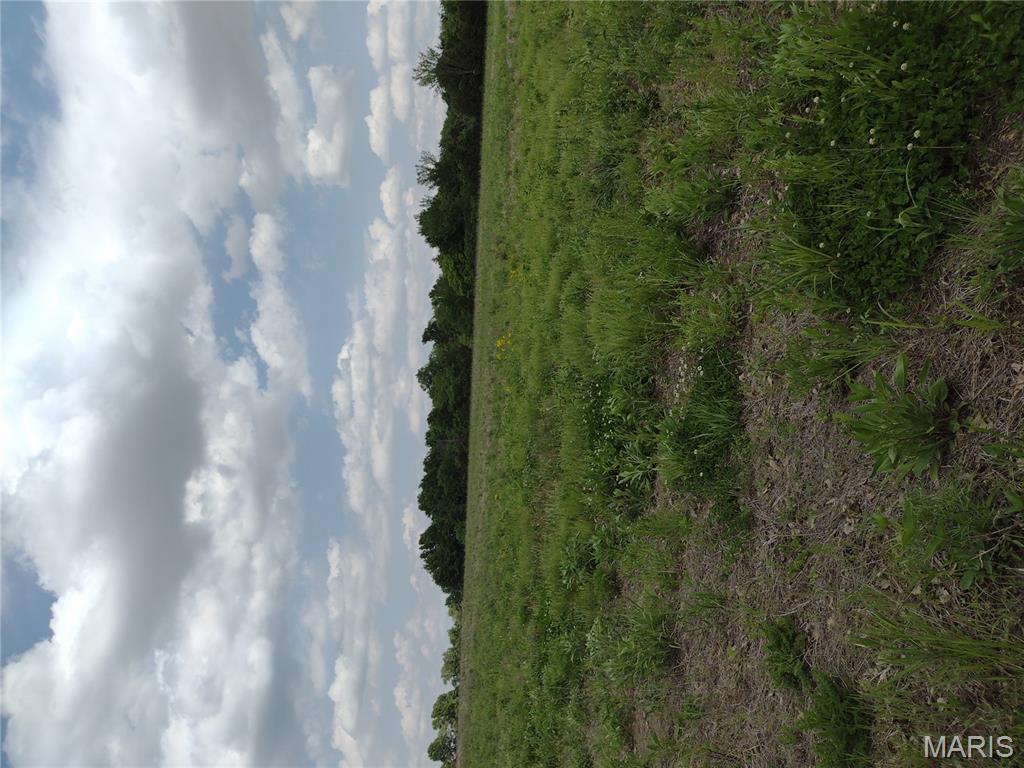 0 Central Grove Road Middletown, MO 63359 - Photo 23 of 31