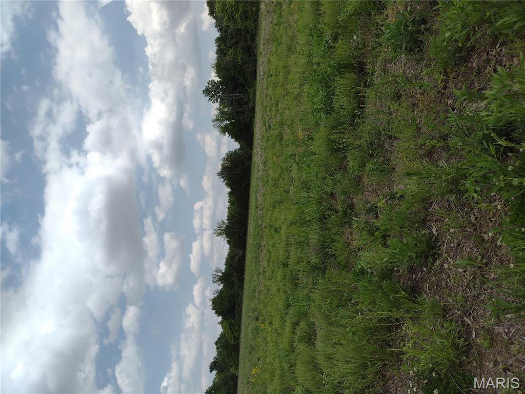 0 Central Grove Road Middletown, MO 63359 - Photo 24 of 31