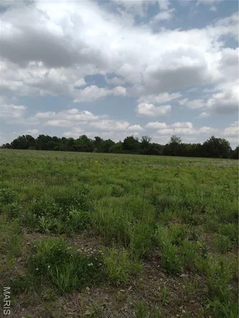 $971,975 | 0 Central Grove Road, Middletown, MO 63359