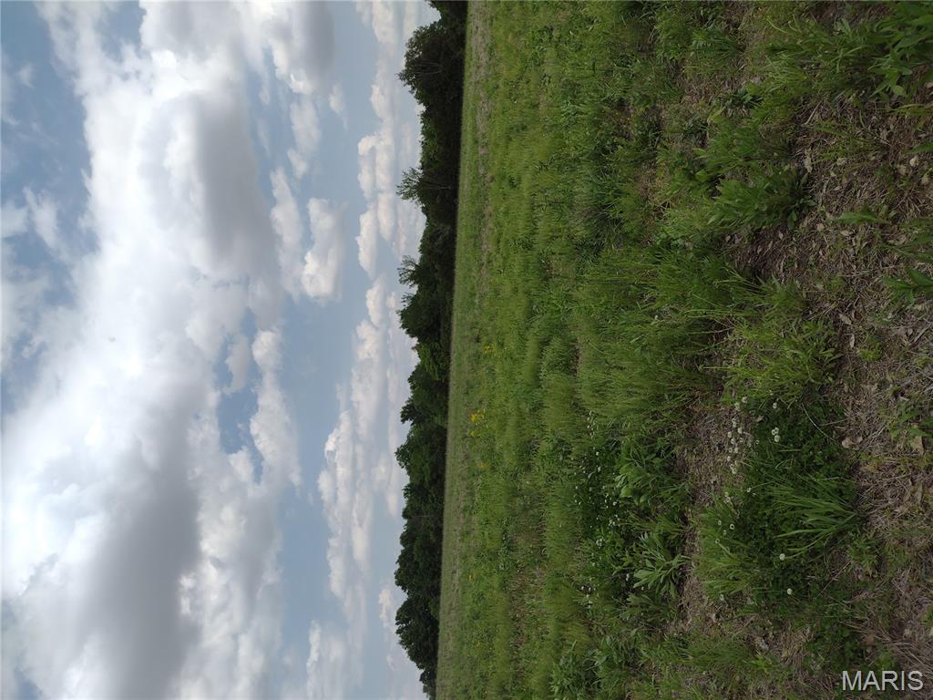 0 Central Grove Road Middletown, MO 63359 - Photo 25 of 31