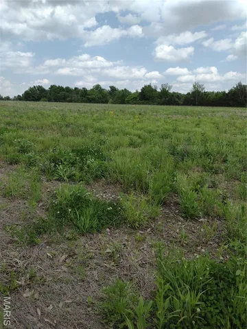 $971,975 | 0 Central Grove Road, Middletown, MO 63359