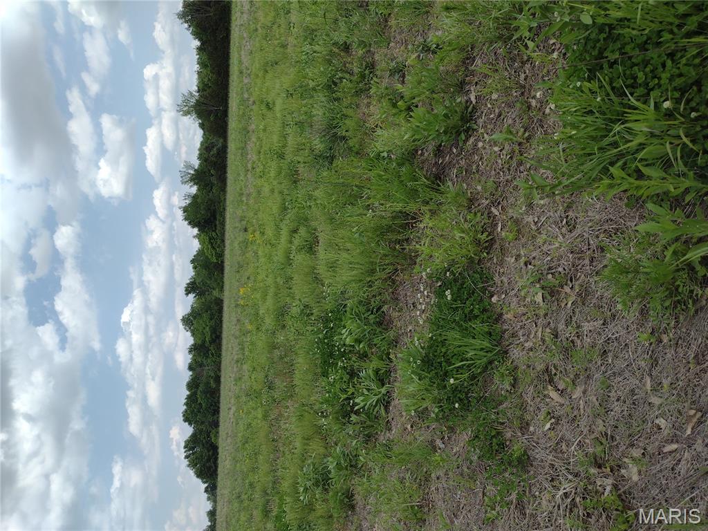 0 Central Grove Road Middletown, MO 63359 - Photo 26 of 31