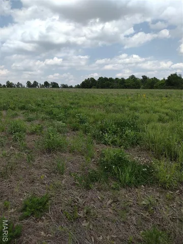 $971,975 | 0 Central Grove Road, Middletown, MO 63359