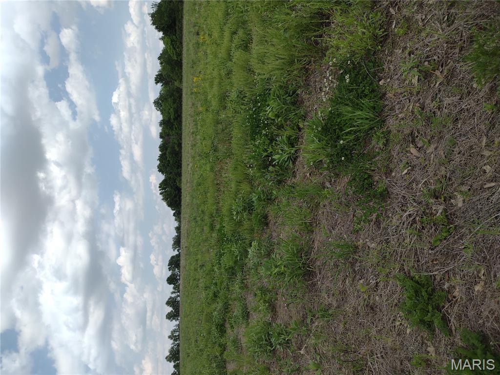 0 Central Grove Road Middletown, MO 63359 - Photo 27 of 31