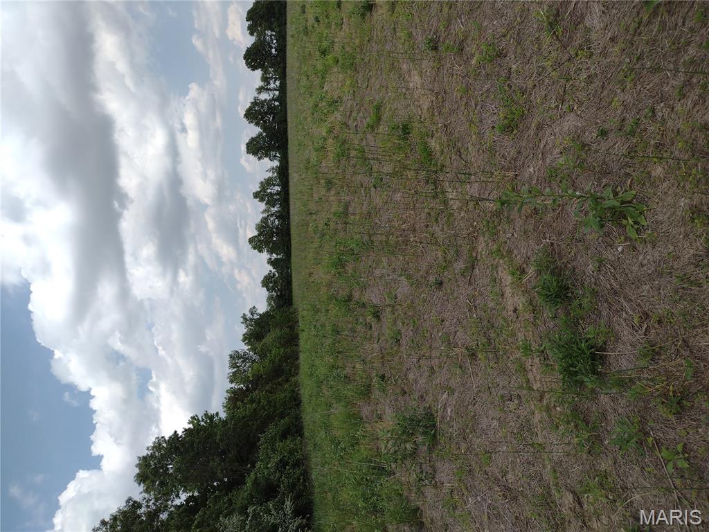 0 Central Grove Road Middletown, MO 63359 - Photo 28 of 31