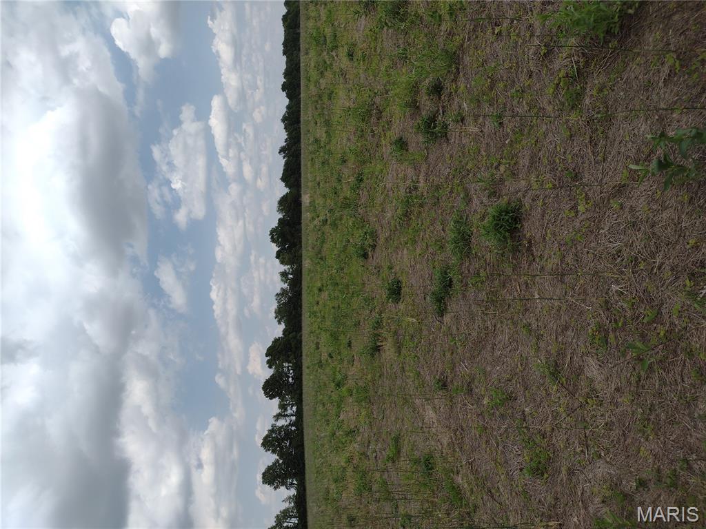 0 Central Grove Road Middletown, MO 63359 - Photo 29 of 31