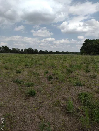 $971,975 | 0 Central Grove Road, Middletown, MO 63359