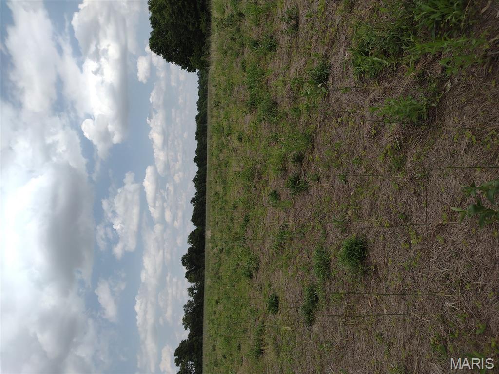 0 Central Grove Road Middletown, MO 63359 - Photo 30 of 31