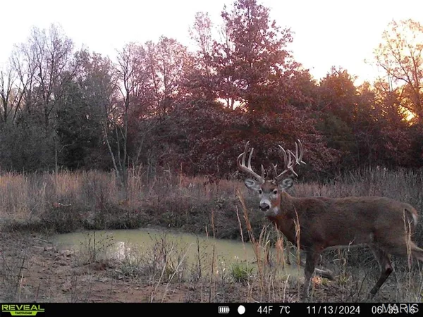 $971,975 | 0 Central Grove Road, Middletown, MO 63359