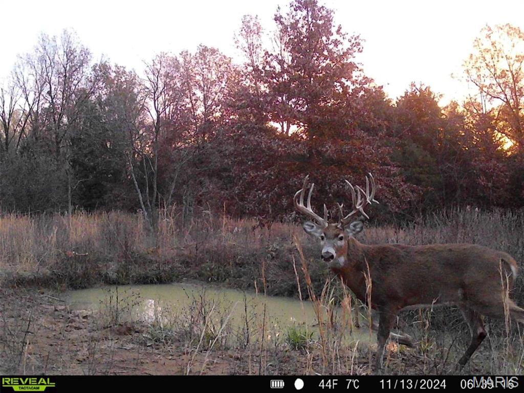 0 Central Grove Road Middletown, MO 63359 - Photo 3 of 31