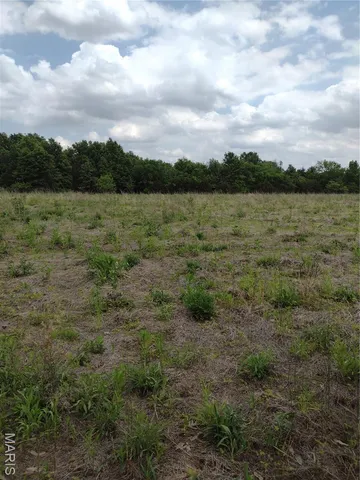 $971,975 | 0 Central Grove Road, Middletown, MO 63359