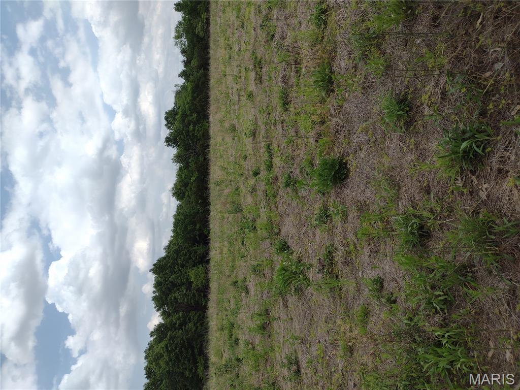 0 Central Grove Road Middletown, MO 63359 - Photo 31 of 31