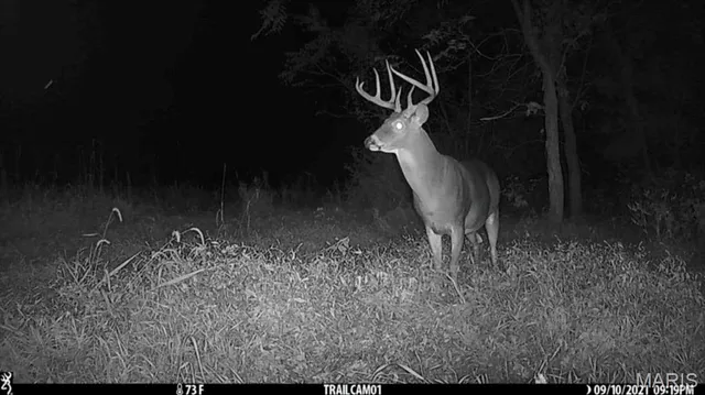 $971,975 | 0 Central Grove Road, Middletown, MO 63359