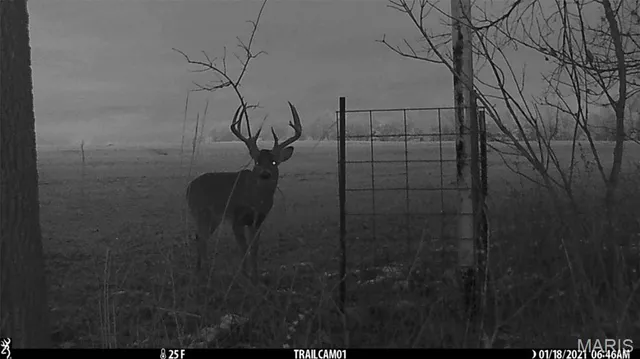 $971,975 | 0 Central Grove Road, Middletown, MO 63359