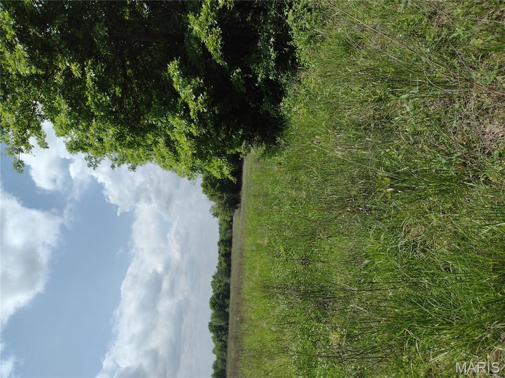 0 Central Grove Road Middletown, MO 63359 - Photo 6 of 31