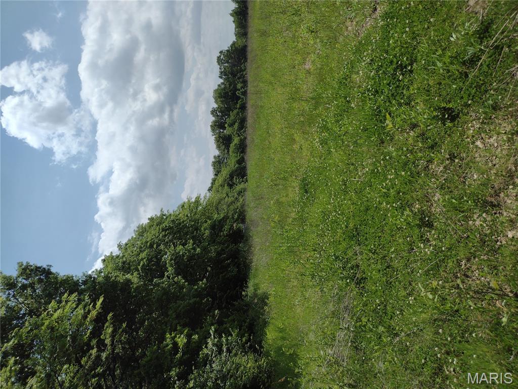 0 Central Grove Road Middletown, MO 63359 - Photo 7 of 31