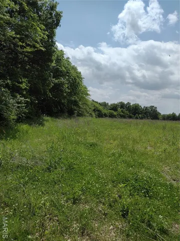 $971,975 | 0 Central Grove Road, Middletown, MO 63359