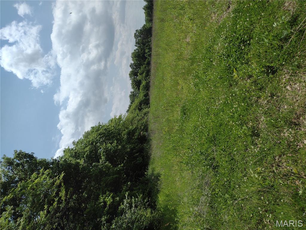 0 Central Grove Road Middletown, MO 63359 - Photo 8 of 31