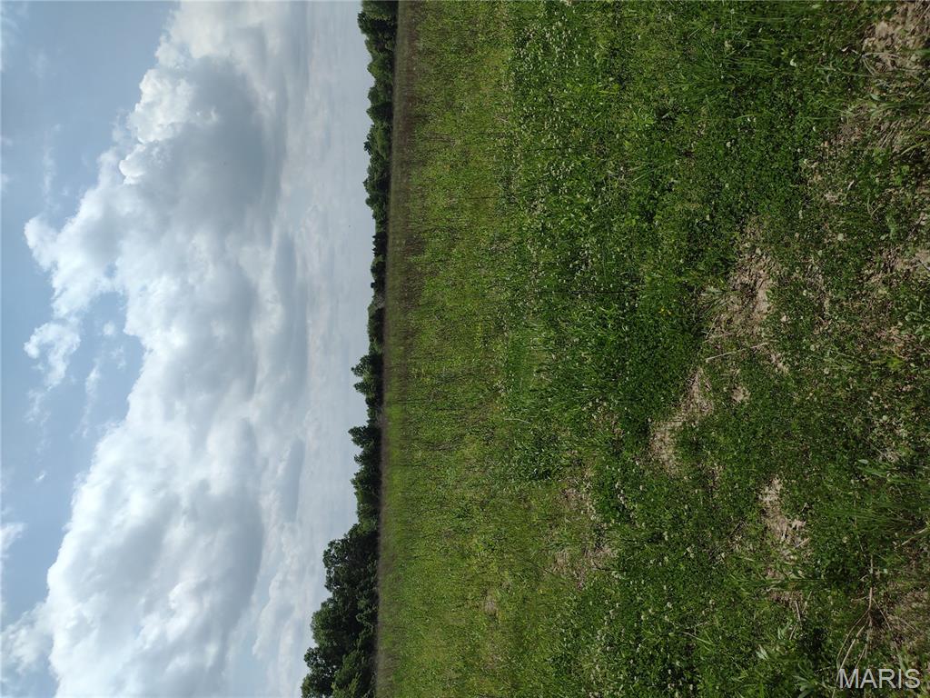 0 Central Grove Road Middletown, MO 63359 - Photo 9 of 31