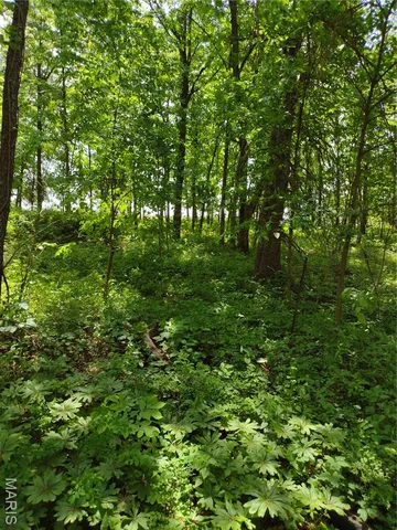 $971,975 | 0 Central Grove Road, Middletown, MO 63359