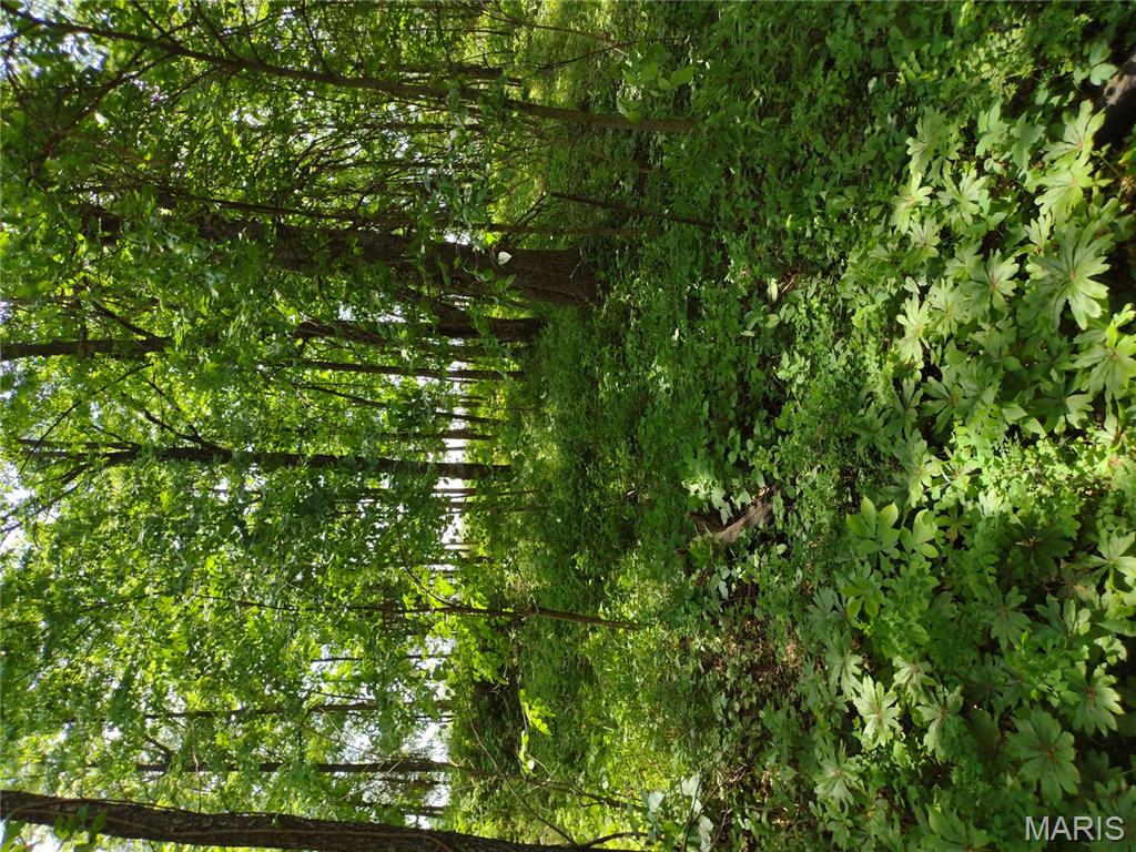 0 Central Grove Road Middletown, MO 63359 - Photo 10 of 31