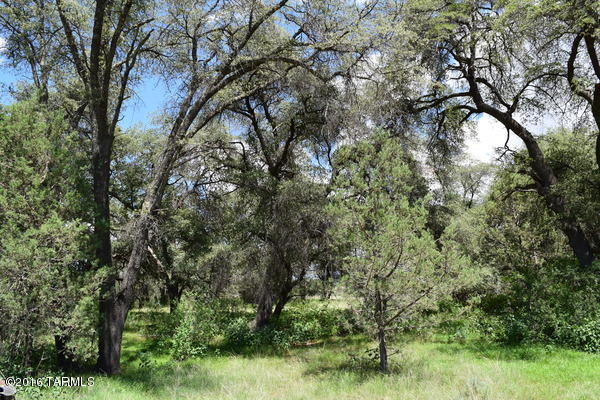 0 Mellor Road Elgin, AZ 85611 - Photo 4 of 9