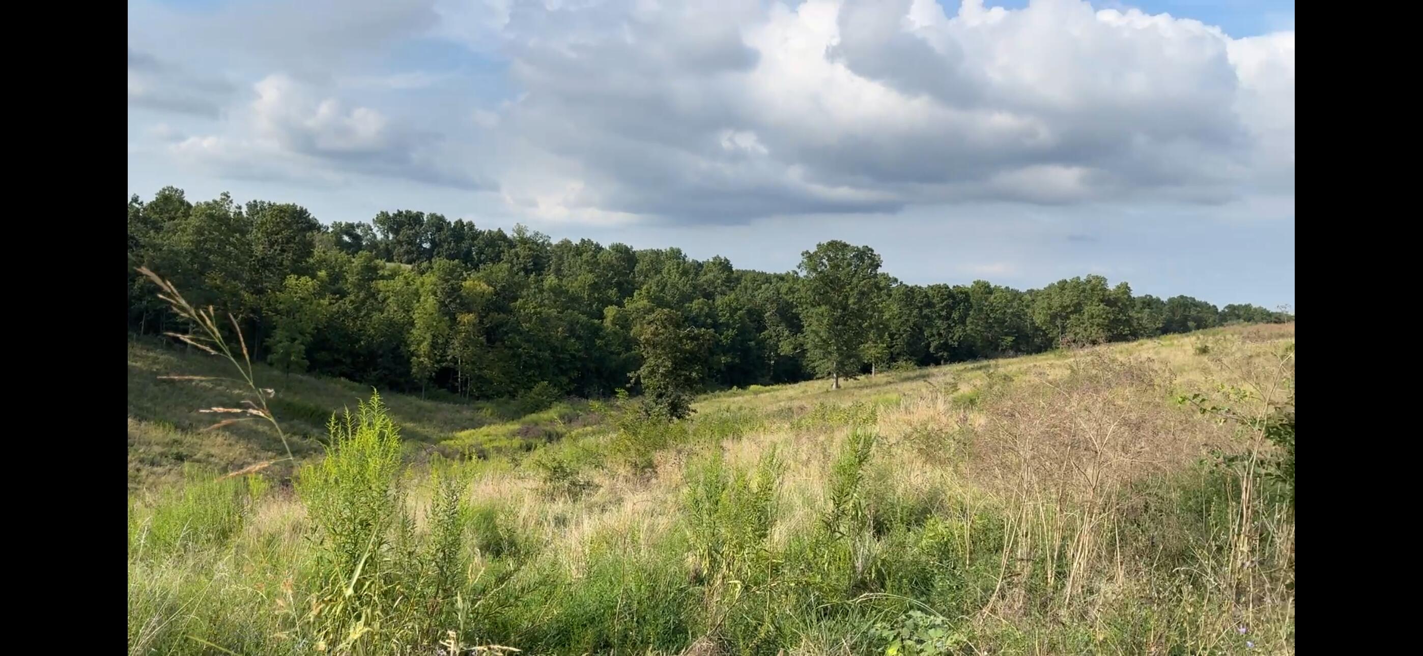 0 New Columbus Road Corinth, KY 41010 - Photo 20 of 23