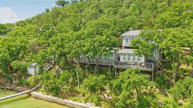 a view of a large yard with large trees and plants