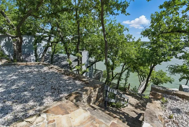 a view of a forest filled with trees