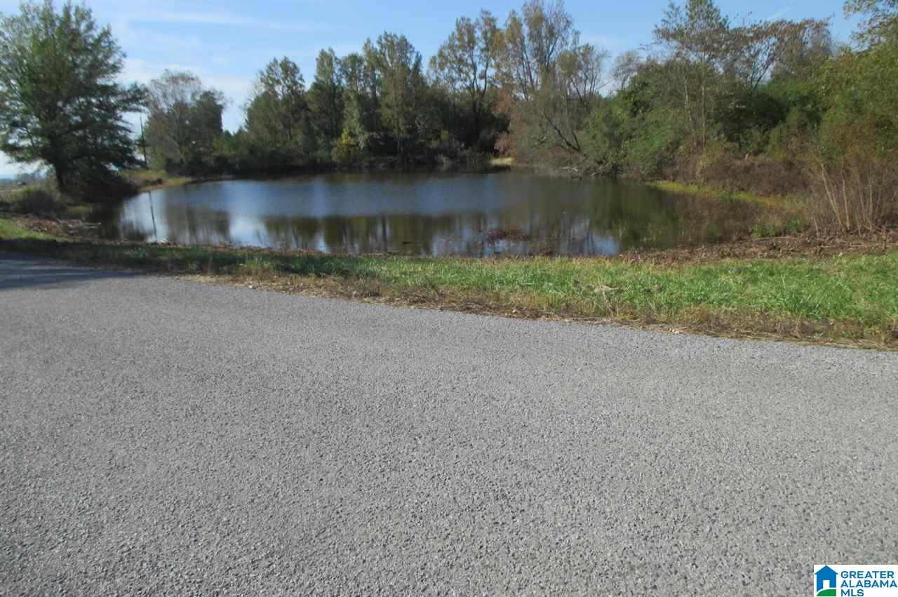 1161 Mardis Mill Road Blountsville, AL 35031 - Photo 31 of 33