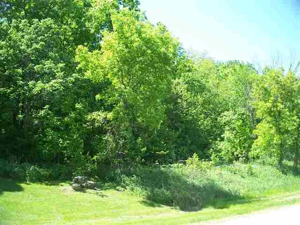 a view of a yard