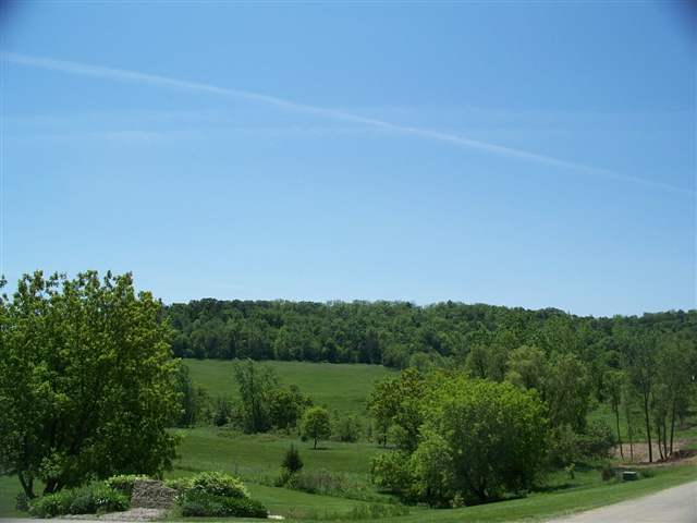 93 Heatherdowns Lane Galena, IL 61036 - Photo 2 of 27 a view of a city with lush green forest