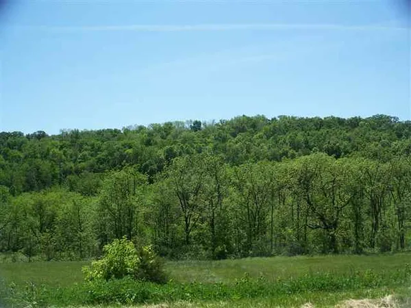 a view of a field of grass and trees