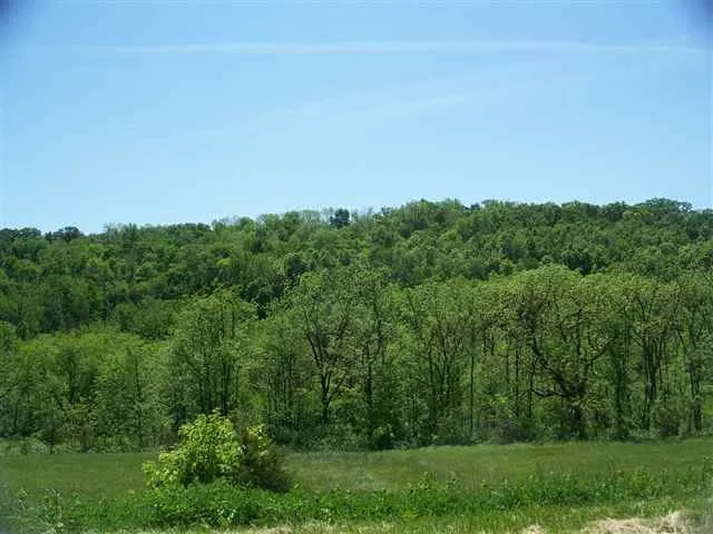 a view of a field of grass and trees