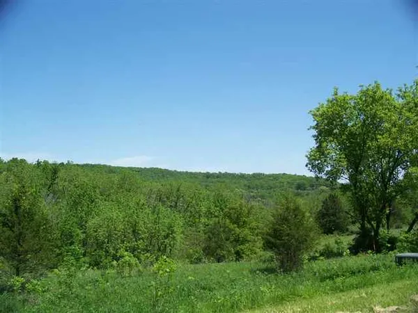 a view of yard with green space