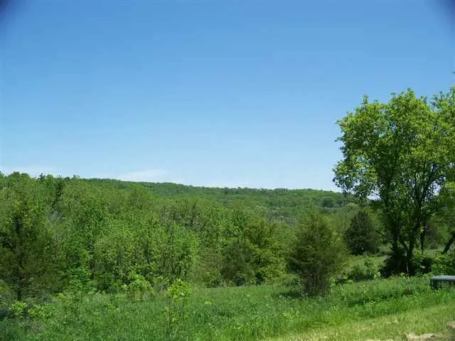 a view of yard with green space