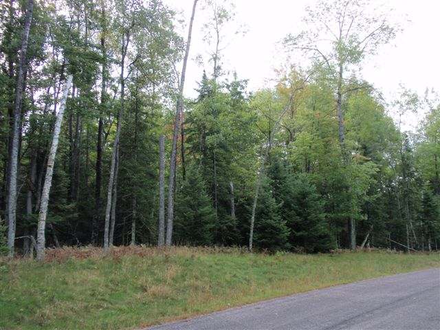 Lot 35 Garrett's Trail Rhinelander, WI 54501 - Photo 16 of 16 Gallery Image 16