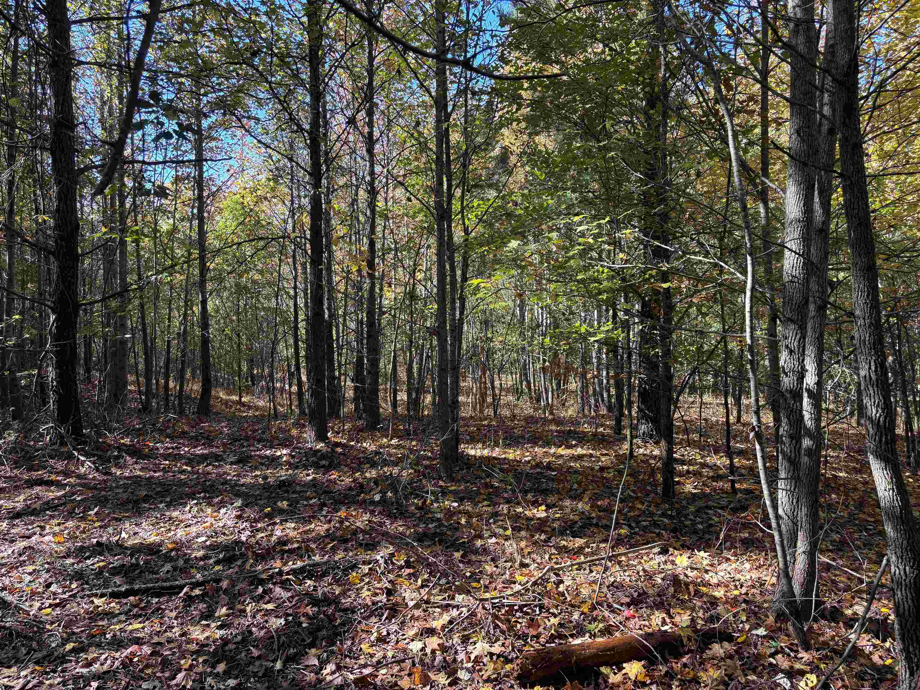 0 Bethuel Road, Unit 12 Millington, TN 38053 - Photo 11 of 15
