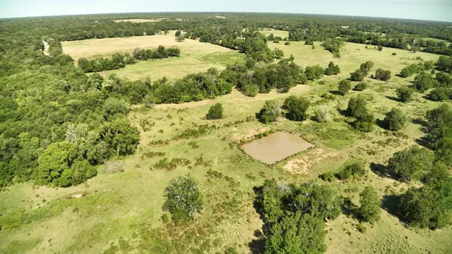 a view of a lake in between the field and trees