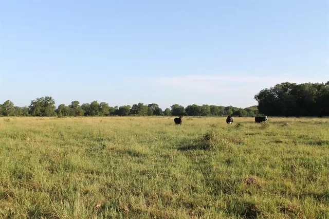 a view of lake and mountain