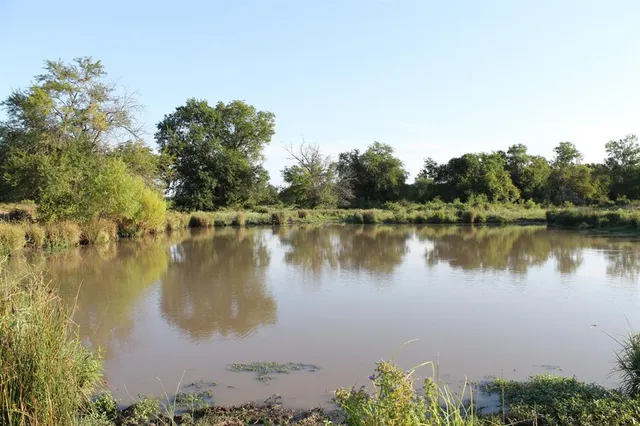 a view of road with trees