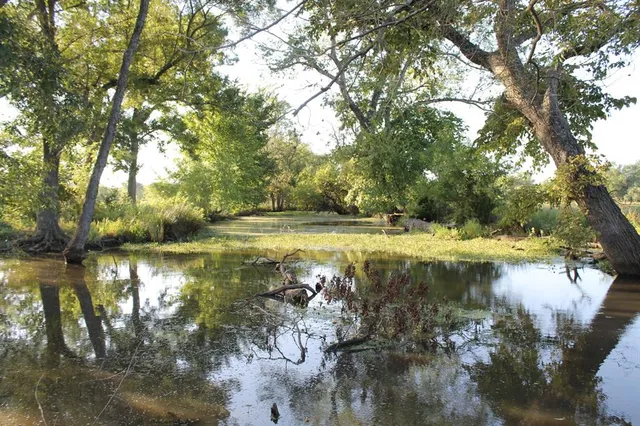 a view of a field with an ocean view
