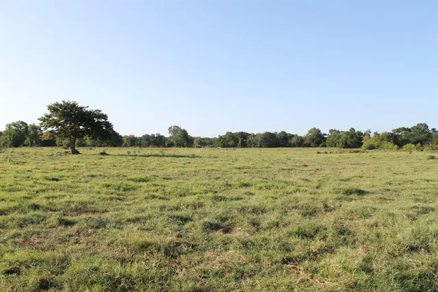 a view of lake view with tree