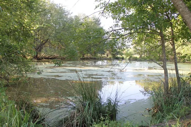 a view of outdoor space and trees